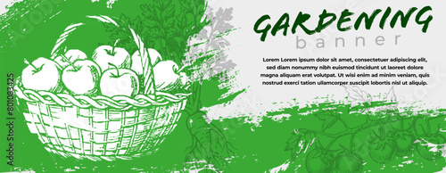 Horizontal banner with green grungy scratchy texture, stylized sketchy wicker basket with apples