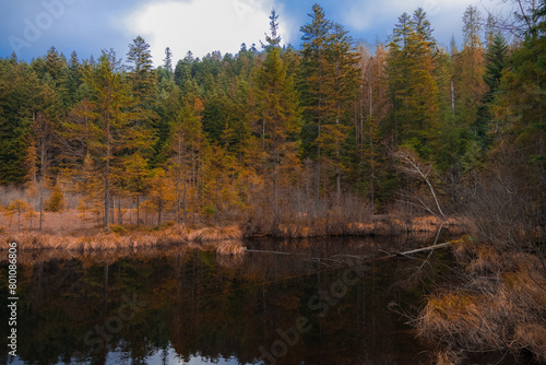 September autumn lake in the woods with spruce trees wanderlust landscape scenic view