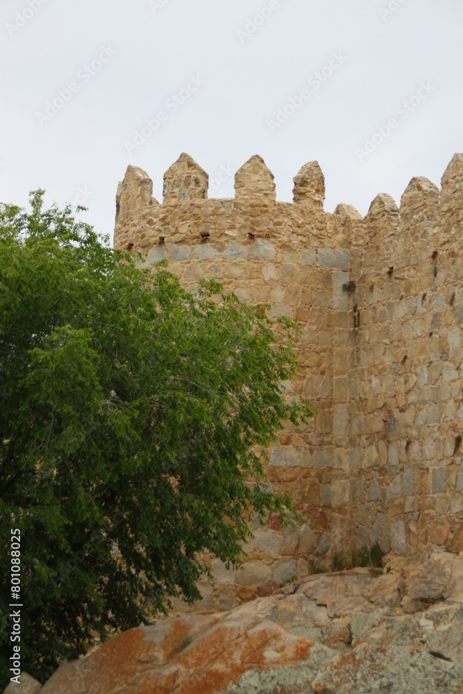 Fototapeta premium muralla de avila