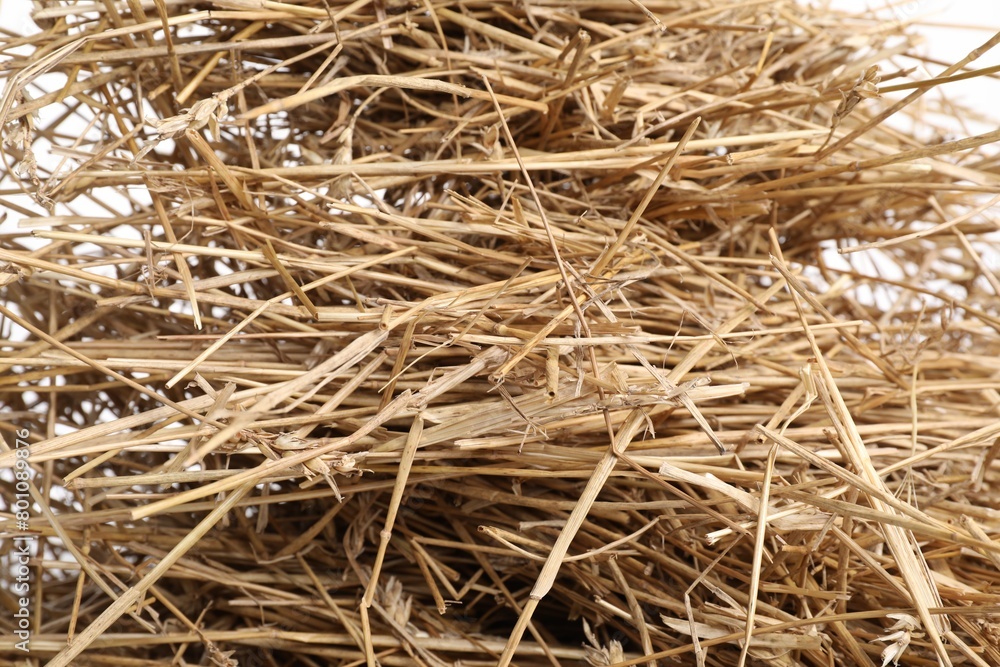 Dried straw on white background, closeup view Dried straw on white background, closeup view