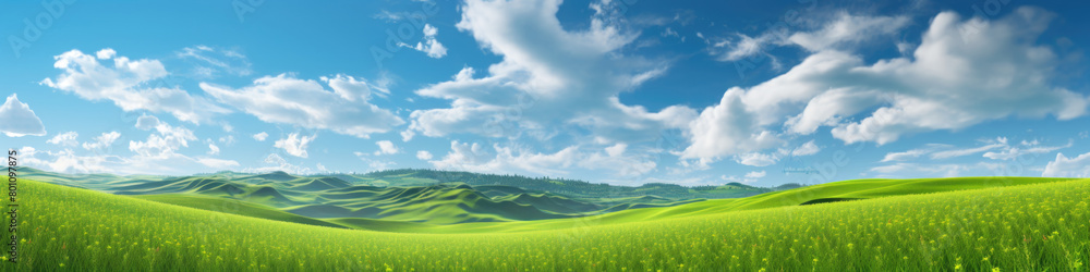 Fototapeta premium Natural background scene of green hills, blue sky, fluffy clouds, copy space