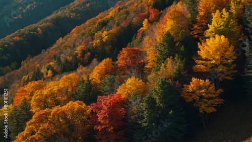 Autumn view from the sky on colorful forests in park Mauricie  Quebec  Canada 