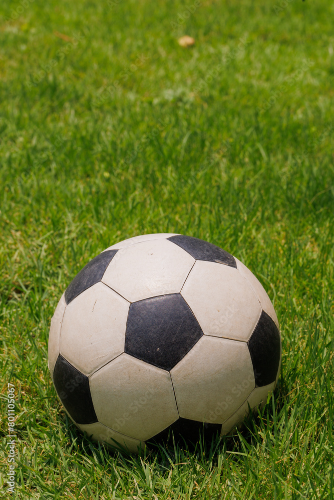 soccer ball in the grass