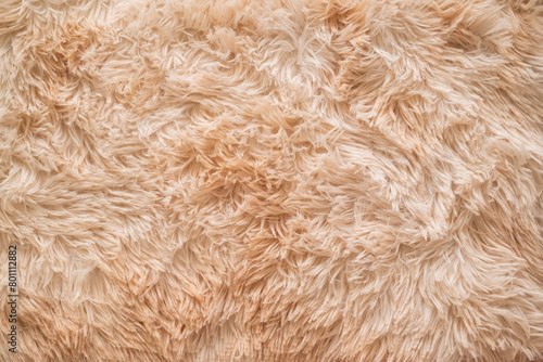 Background picture of a soft fur beige carpet. wool sheep fleece close up texture background. Fake color beige fur fabric. top view.