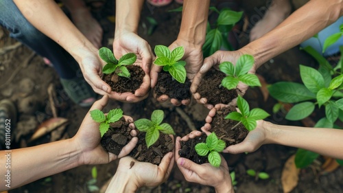 A group of people holding plants in their hands photo