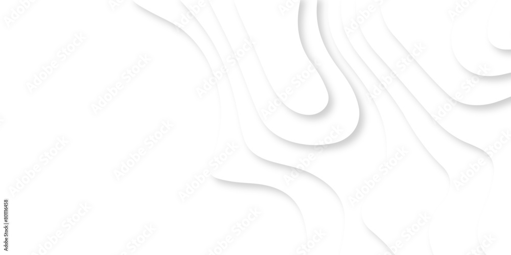 Abstract white paper cut background with lines. Background of the topographic map. White wave paper curved reliefs abstract background. Realistic papercut decoration textured with wavy layers. Abstract white paper cut background with lines. Background of the topographic map. White wave paper curved reliefs abstract background. Realistic papercut decoration textured with wavy layers.
