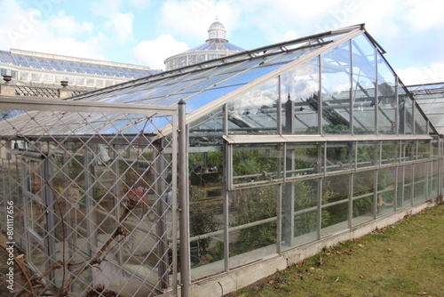 Photography botanisk have