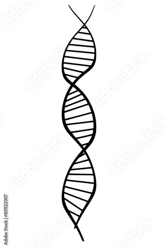 dna strand isolated on white background