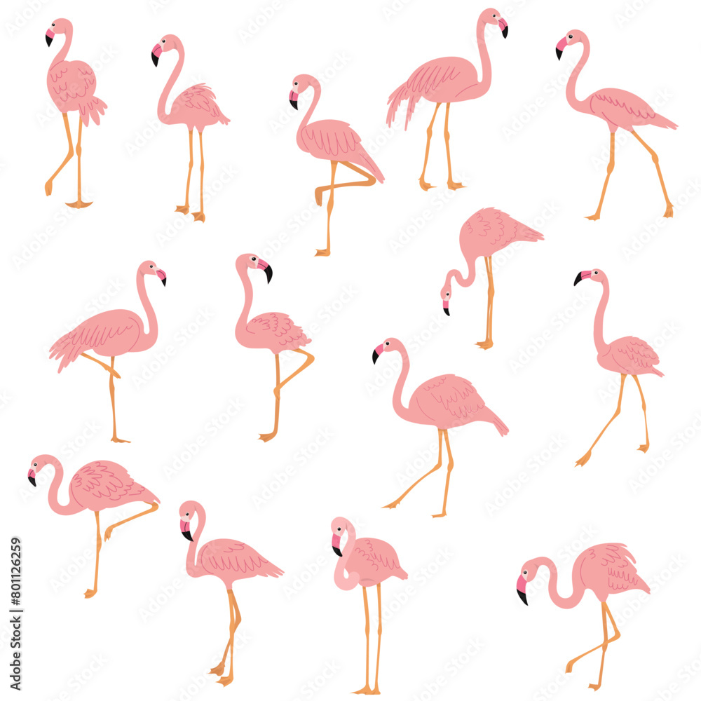 Obraz premium flamingo pink set, collection on white background vector