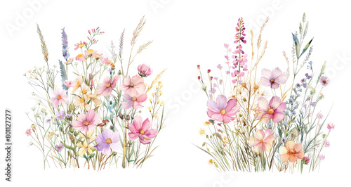 Fototapeta Naklejka Na Ścianę i Meble -  Bouquet of wildflowers on transparent background