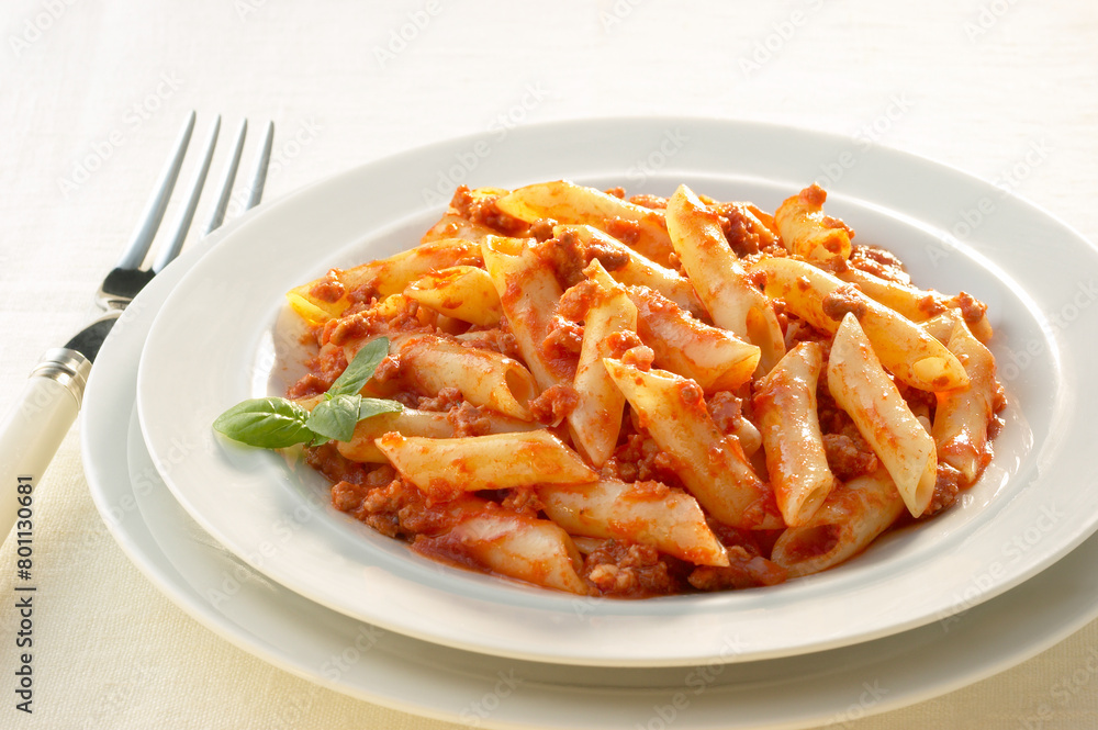 Macaroni dish with Italian Bolognese sauce and fork