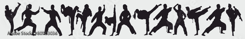 Martial Art silhouette set collection. 
