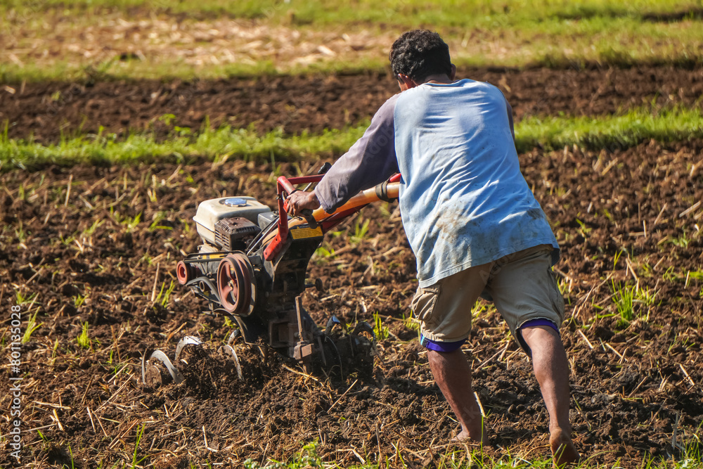 Indonesian farmer is plowing rice fields using plow machine. Concept