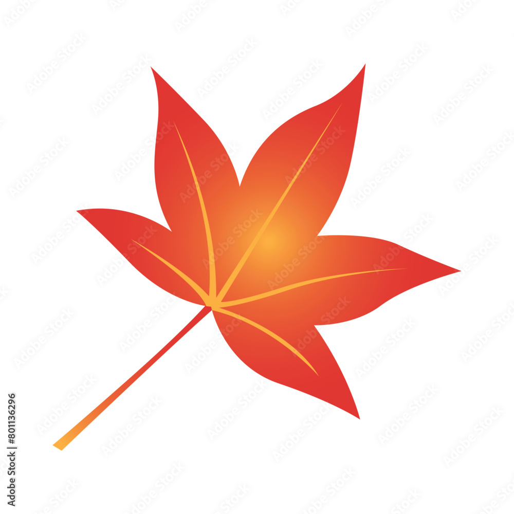 Autumn leaf vector illustration isolated on white background Autumn leaf vector illustration isolated on white background