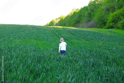 A young boy walking through a beautiful, green field. He is surrounded by tall, lush trees and a clear, blue sky above. The boy seems to be enjoying his time outdoors, as indicated by the cheerful