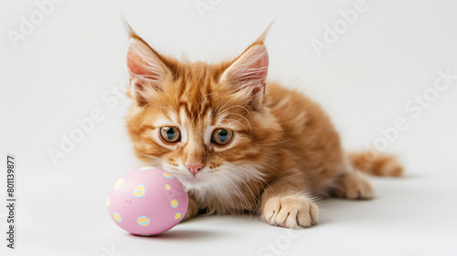 Cute cat with Easter egg on white background © Mishi