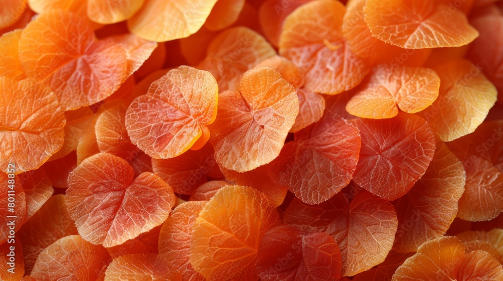A tight shot of oranges in cross-section, stacked atop one another A tight shot of oranges in cross-section, stacked atop one another