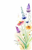 watercolor illustration of herb and flowers. herbal drawing with copyspace on white background