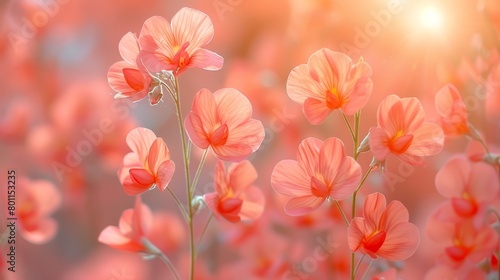   A scene of several pink flowers against a sunlit backdrop, with a softly blurred flower cluster in the foreground © Shanti