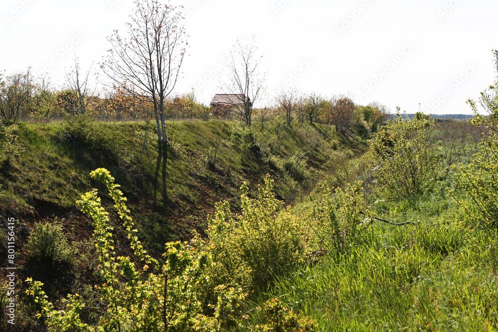 Irrigation canal without water. Field. Irrigation canal without water. Field.
