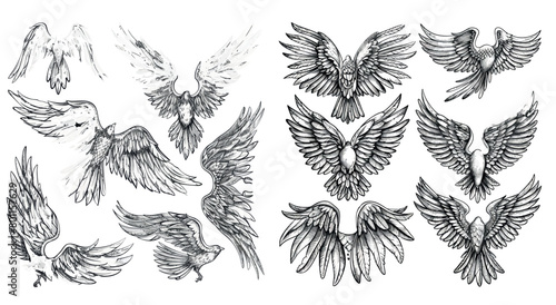 Hand drawn angel wings lettering. Sketched flight feather
