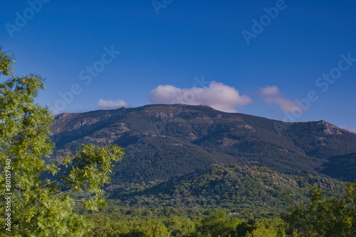 landscape, view, nature, mountains, plants, trees, greenery, spr
