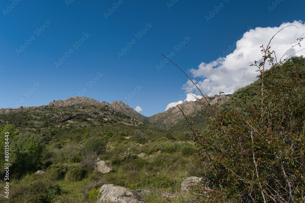 Fototapeta premium landscape, view, nature, mountains, plants, trees, greenery, spr