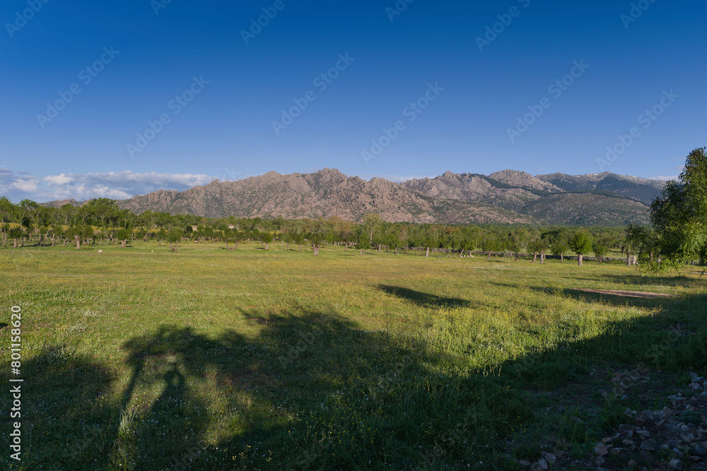 Fototapeta premium landscape, view, nature, mountains, plants, trees, greenery, spr