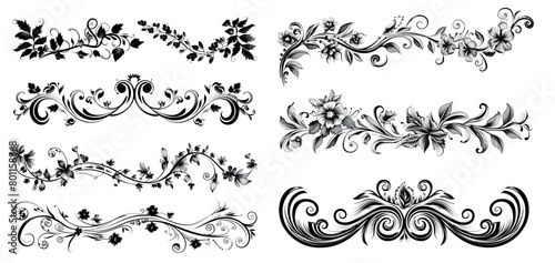 Modern set of decorative text dividers with a floral ornament border and flourish calligraphic ornament ornaments.