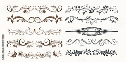 Text dividers with floral ornament border, vintage hand drawn decoration, and flourish sketch calligraphic elements.