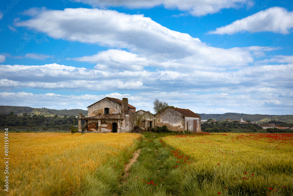 Old abandoned farmers house with beautiful vegetation of red poppies and golden wheat in the Ribatejo plains area - Portugal Old abandoned farmers house with beautiful vegetation of red poppies and golden wheat in the Ribatejo plains area - Portugal