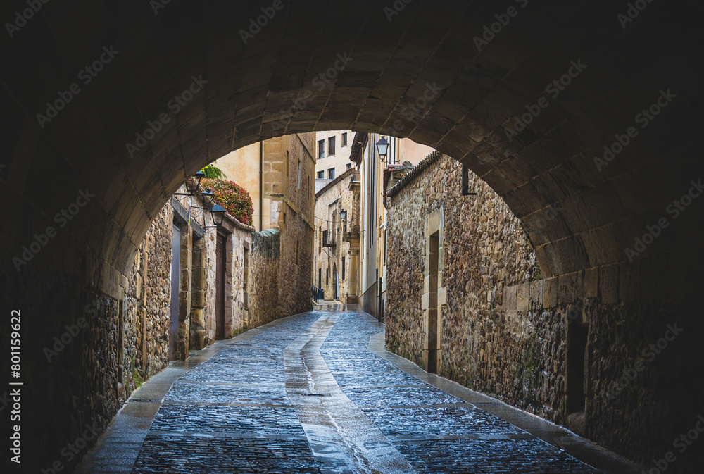 Fototapeta premium Soria - spanish city located in the province of Castilla y Leon, and on the margins of the Douro river