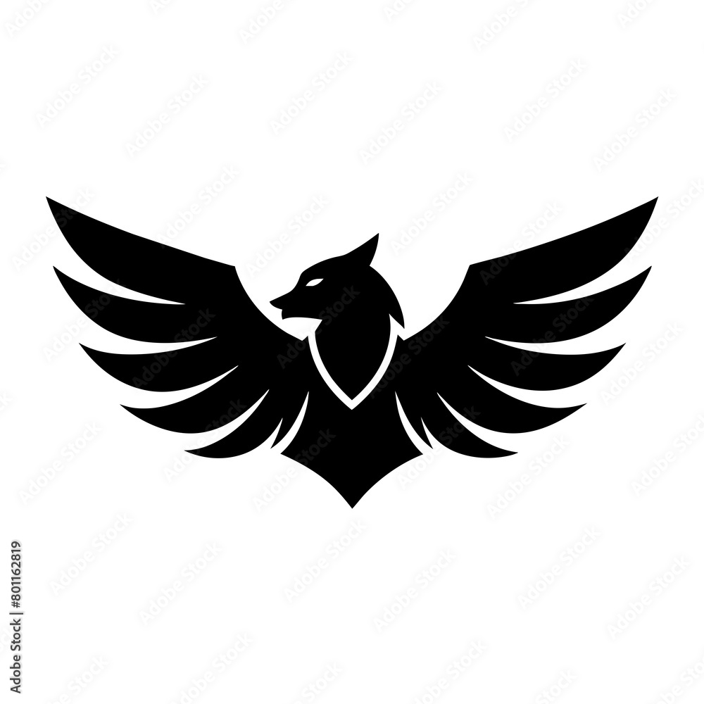 Obraz premium eagle with wings