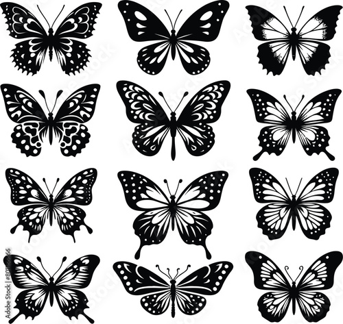 Flying Butterfly silhouette set. Vector on transparent background.