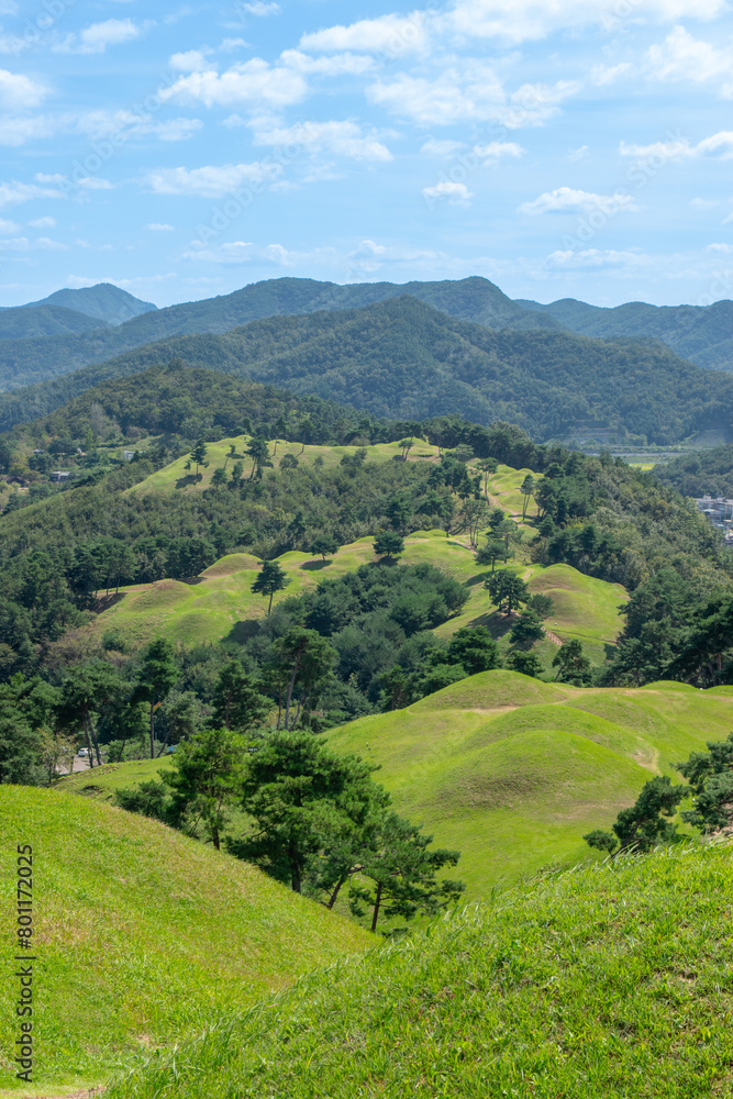 mountain, nature, view, tree mountain, nature, view, tree