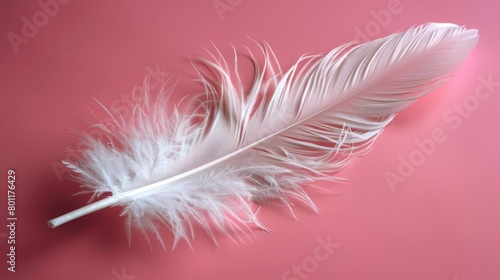   A white feather  closely framed against a pink backdrop  with a solitary drop of water nestled beside it