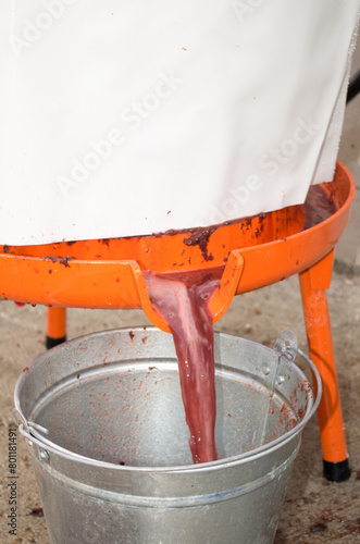Bladder press in action. Fruit and wine press operation. Pressing grapes for wine production. Pressing of fruit and apple cider and wine.