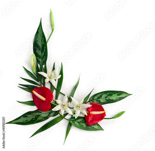 White flowers tropical, red flowers Anthurium, tropical palm leaves and dieffenbachia and on white background with space for text. Top view, flat lay © Anastasiia Malinich