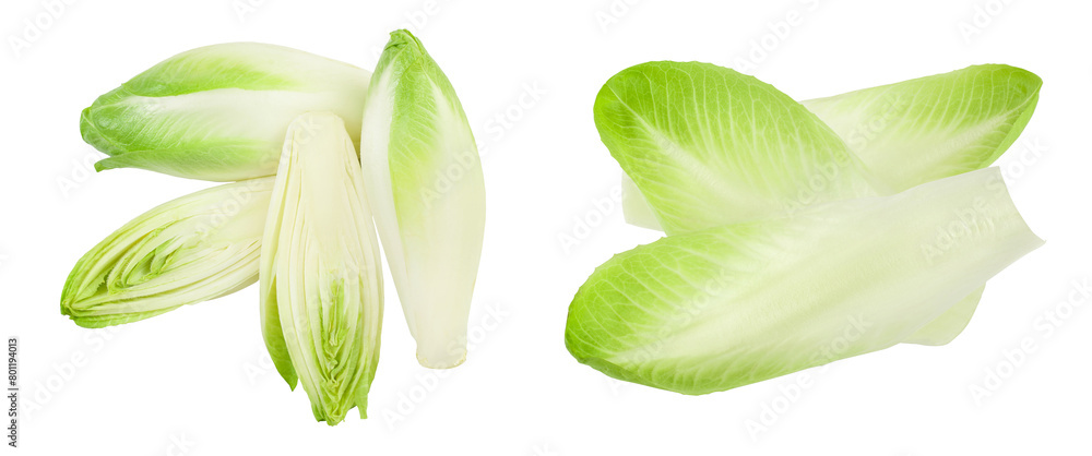 Naklejka premium Chicory salad isolated on white background with full depth of field. Top view. Flat lay