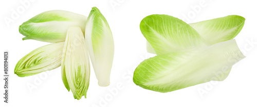 Chicory salad isolated on white background with  full depth of field. Top view. Flat lay photo