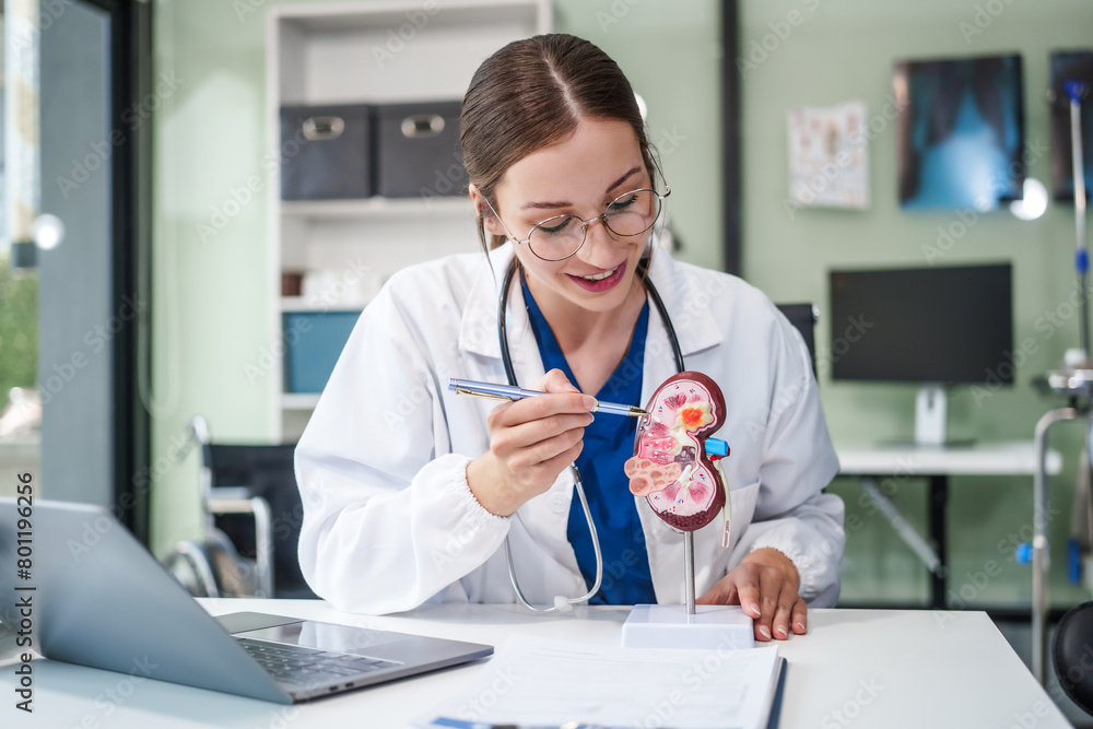 Caucasian woman sits at a desk, kidney model, gallstones, glomerulonephritis, acute and chronic kidney disease, infectious diseases, abnormal ureters, cysts, and urinary system cancer. Caucasian woman sits at a desk, kidney model, gallstones, glomerulonephritis, acute and chronic kidney disease, infectious diseases, abnormal ureters, cysts, and urinary system cancer.
