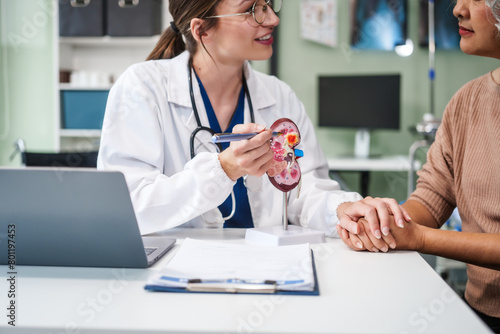 Tableau sur toile Caucasian woman and elderly Asian woman discuss kidney model issues like gallstones, glomerulonephritis, acute/chronic kidney disease, infections, abnormal ureters, cysts, urinary system cancer