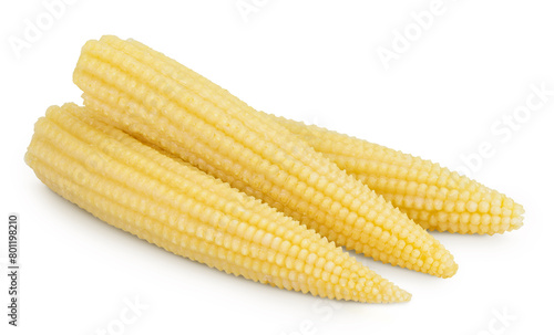 Pickled young baby corn cobs isolated on white background