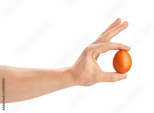 brown egg in hand path isolated on white photo