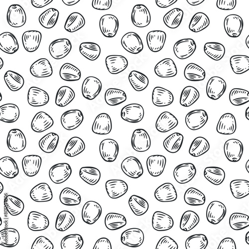 Hand drawn seamless pattern with corn seeds in monochrome sketch style isolated on white background. Agriculture background for food branding. Vintage vector illustration.