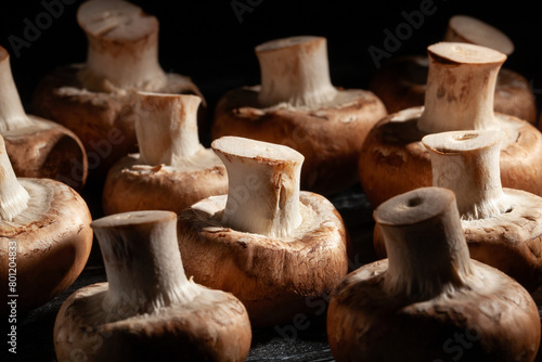 brown mushroom on black wood background © bergamont