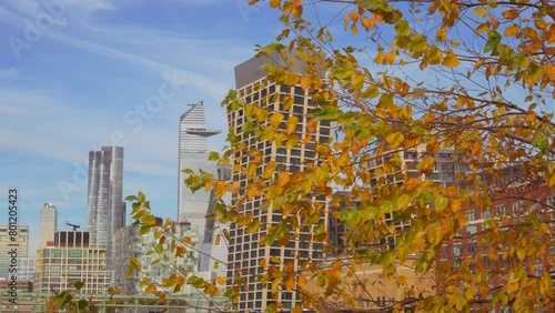 NEW YORK, NEW YORK USA – NOVEMBER 18: Chelsea and Hudson Yards skyscraper stands in Midtown Manhattan beyond the autumn color leave from the Little Island Park in West Village on November 18, 2023 in  photo