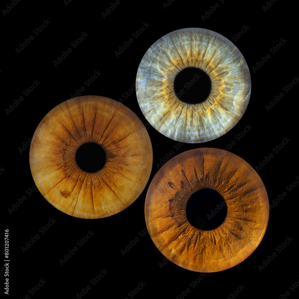 Close up of eye iris on black background, macro, photography Close up of eye iris on black background, macro, photography
