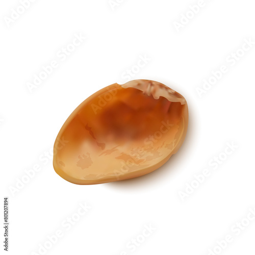 Realistic Detailed 3d Whole Pistachio Nut Kernel Tasty Snack Concept. Vector illustration of Single Pistachio Nut © bigmouse108