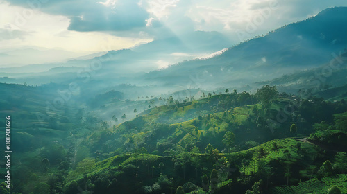 Aerial Tour of Sri Lanka: Breathtaking Vistas of Tea Plantations, Mountain Valleys and Little Adam's Peak from Above - Captured by Mavic 3 Cine in April 2023